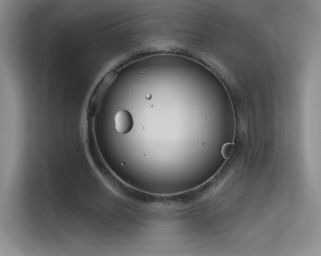 X0000113580630200909251156