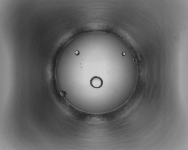 X0000113580635200909251156