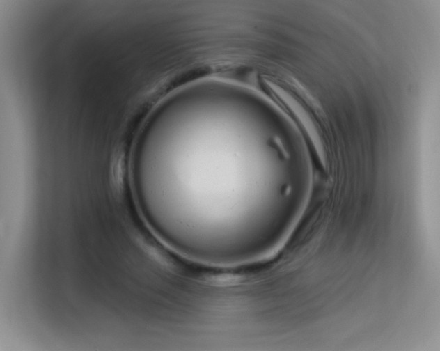 X0000113580637200909251156