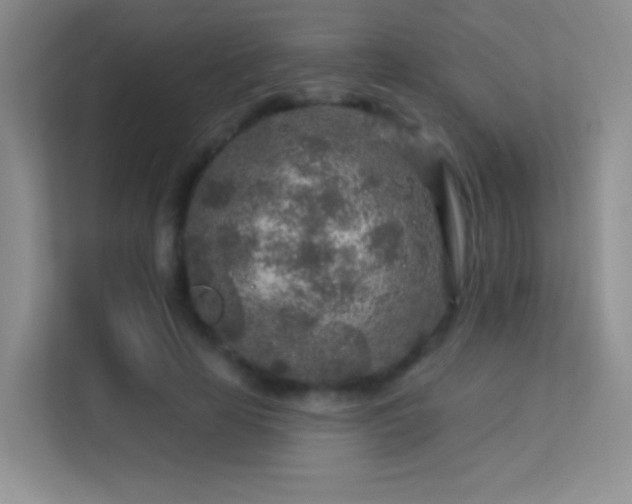 X0000113580641200909251156