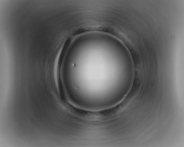 X0000113580642200909251156