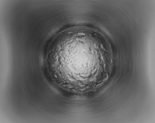 X0000113580644200909251156