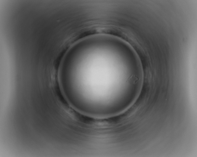 X0000113580650200909251156