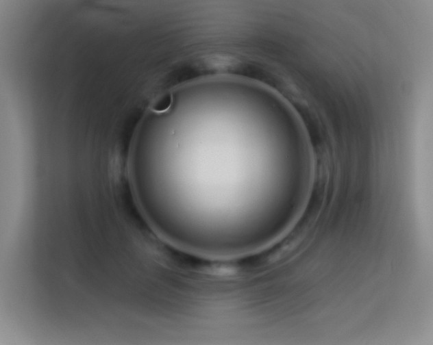 X0000113580651200909251156