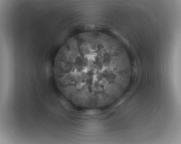 X0000113580659200909251156