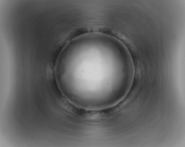 X0000113580661200909251156