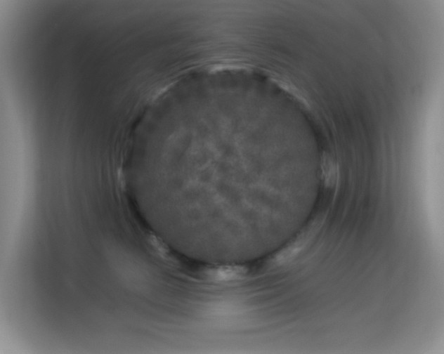 X0000113580670200909251156