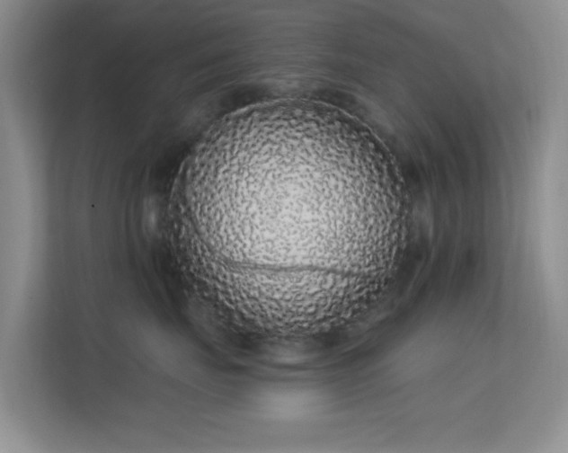 X0000113580671200909251156