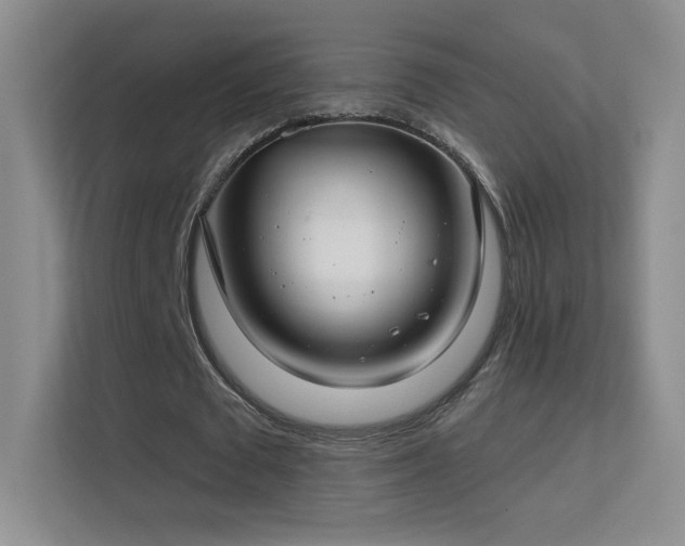 X0000113580673200909251155