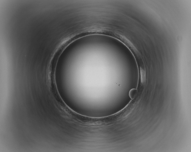 X0000113580675200909251155