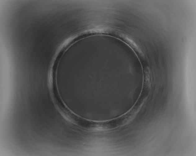 X0000113580678200909251155