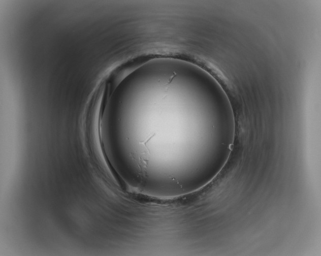 X0000113580679200909251155