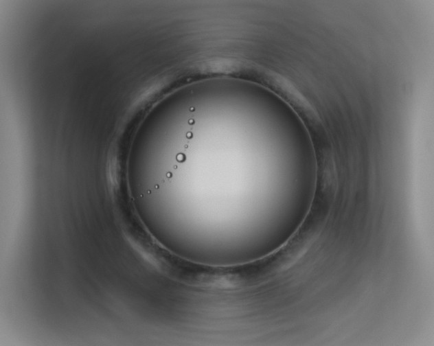 X0000113580683200909251155