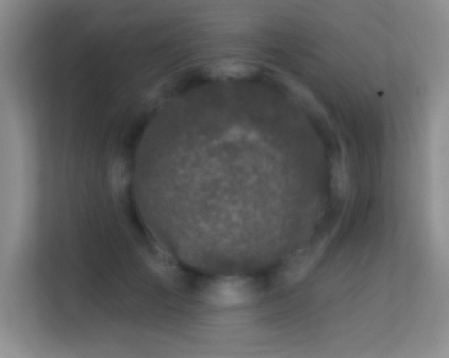 X0000113580701200909251155