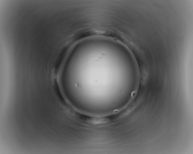 X0000113580707200909251155