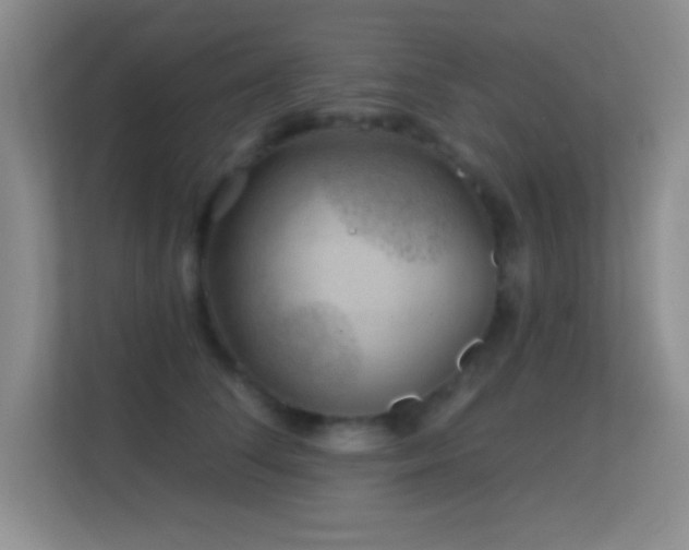 X0000113580708200909251155