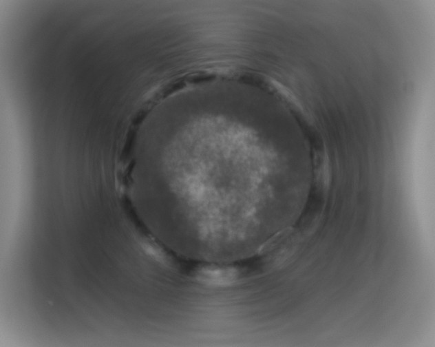 X0000113580712200909251155