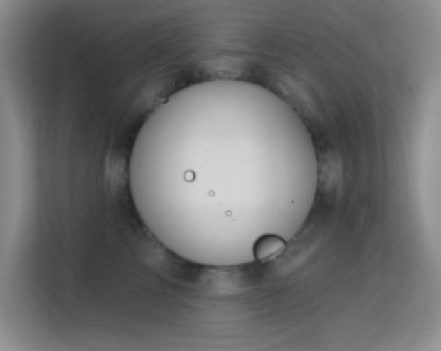 X0000113580713200909251155