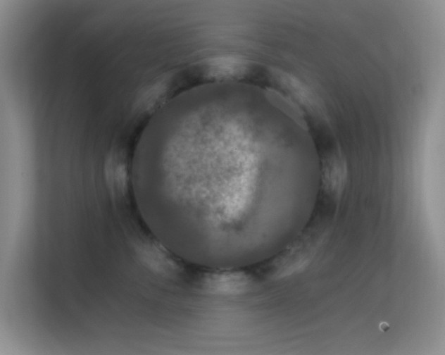 X0000113580716200909251155