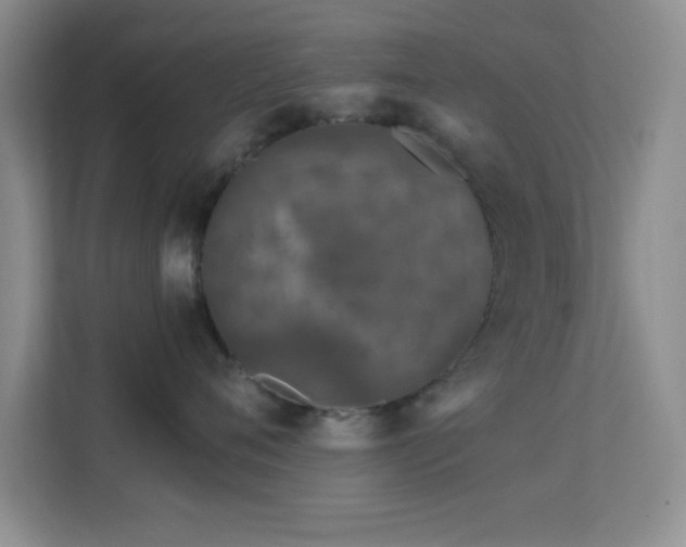 X0000113580720200909251155