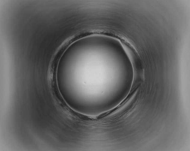 X0000113580723200909251154