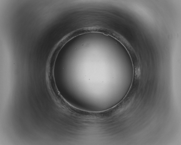 X0000113580724200909251154