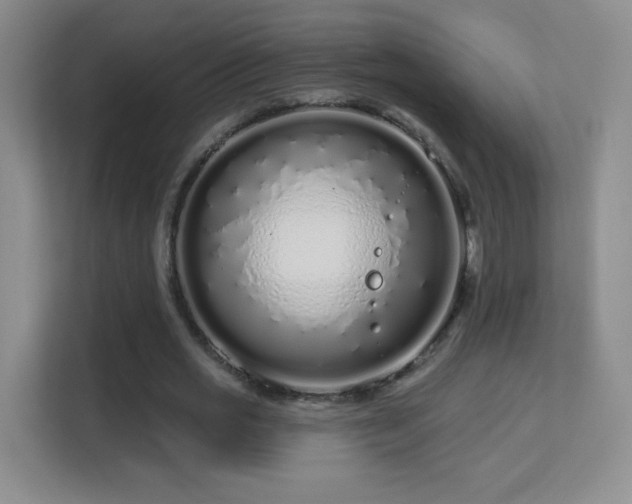 X0000113580725200909251154