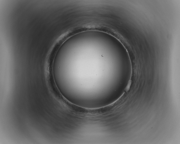 X0000113580727200909251154