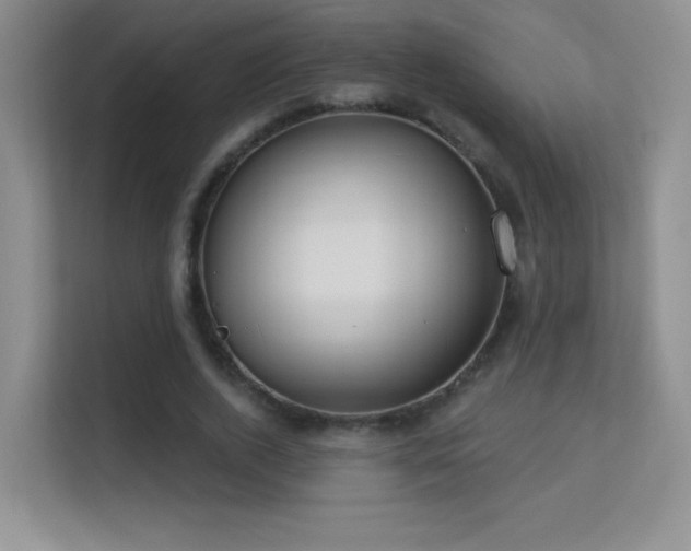 X0000113580728200909251154