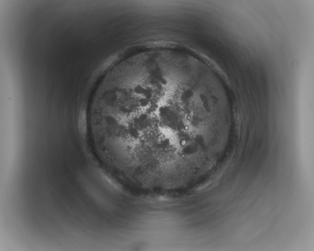 X0000113580729200909251154