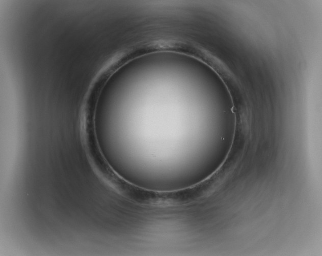 X0000113580730200909251154