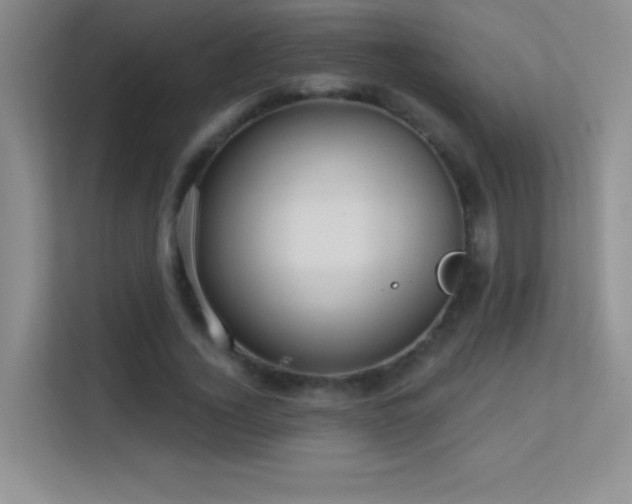 X0000113580732200909251154