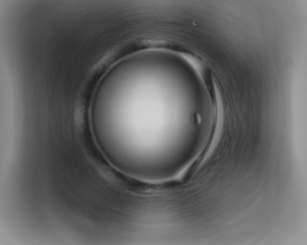 X0000113580735200909251154