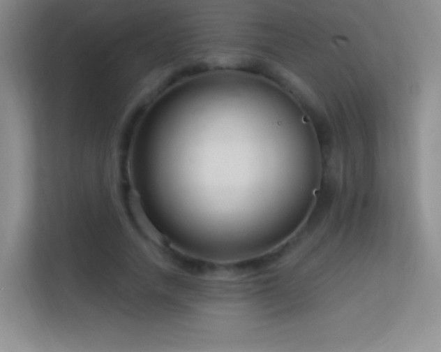 X0000113580738200909251154