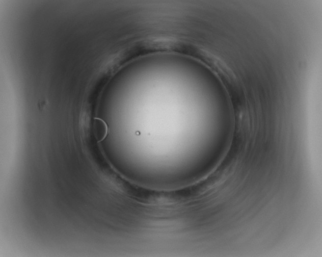 X0000113580739200909251154