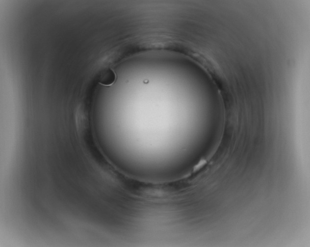 X0000113580743200909251155