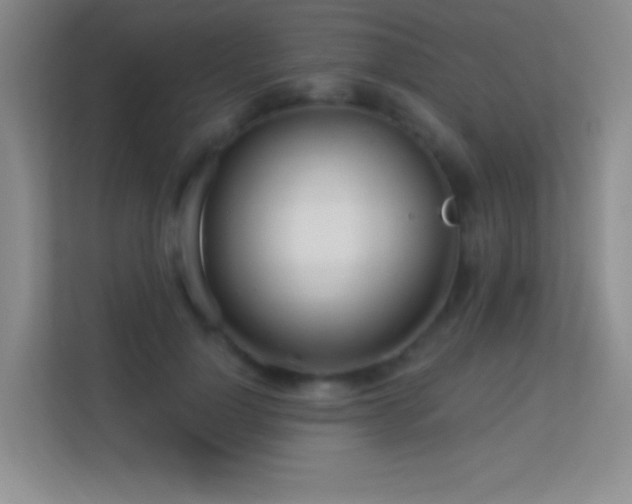 X0000113580748200909251155