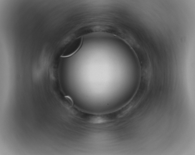 X0000113580755200909251155