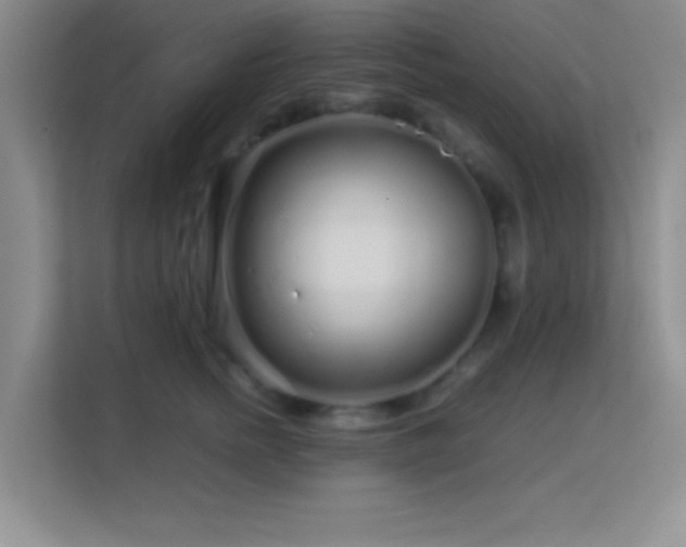 X0000113580758200909251155