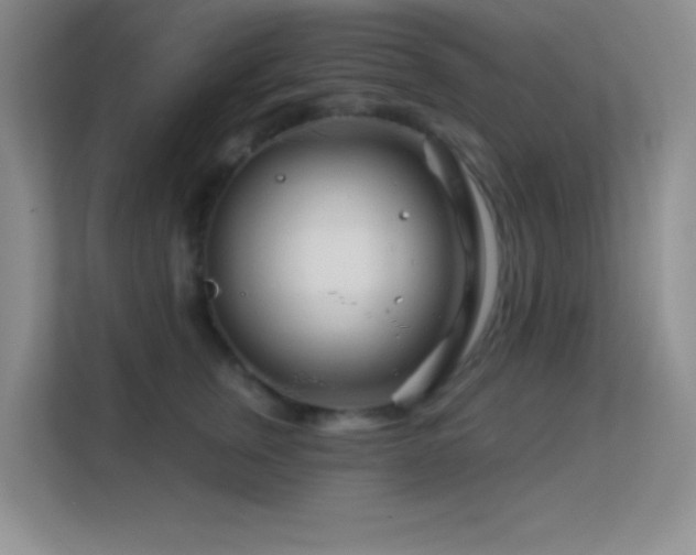 X0000113580759200909251155