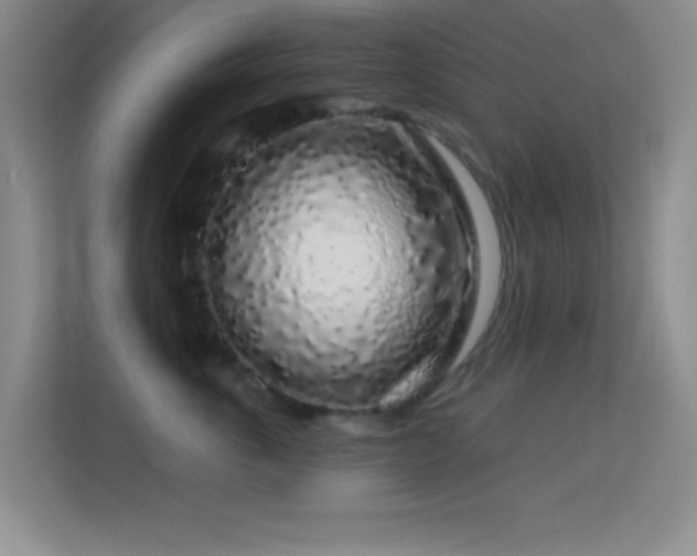 X0000113580763200909251155