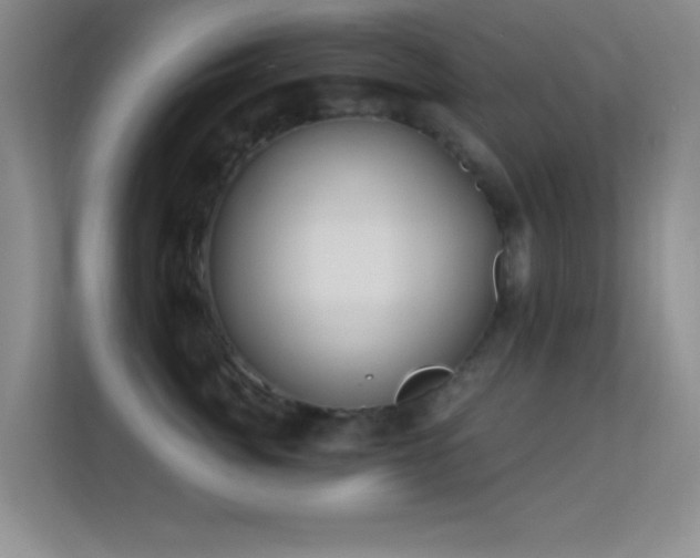 X0000113580764200909251155