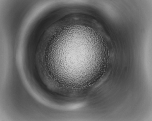 X0000113580765200909251155