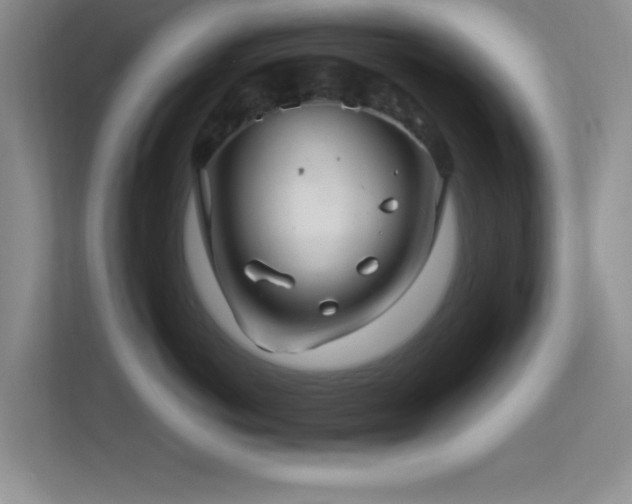 X0000113580766200909251155