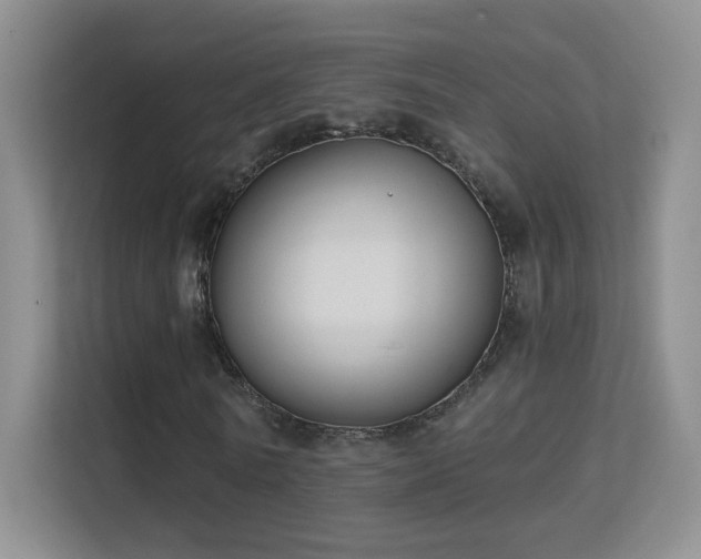 X0000113580770200909251154