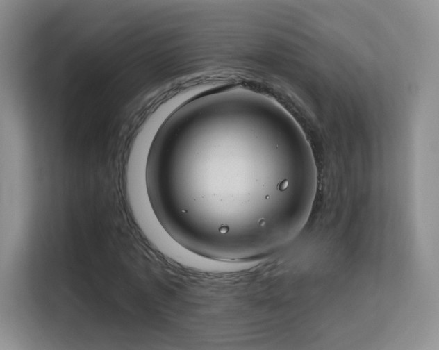 X0000113580773200909251154