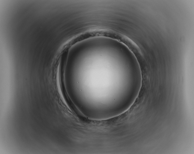 X0000113580775200909251154