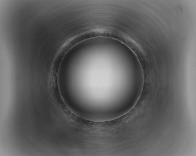 X0000113580776200909251154