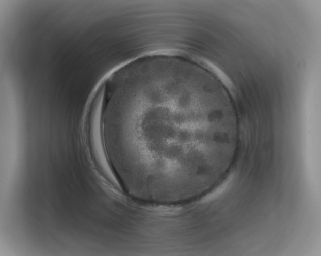 X0000113580779200909251154