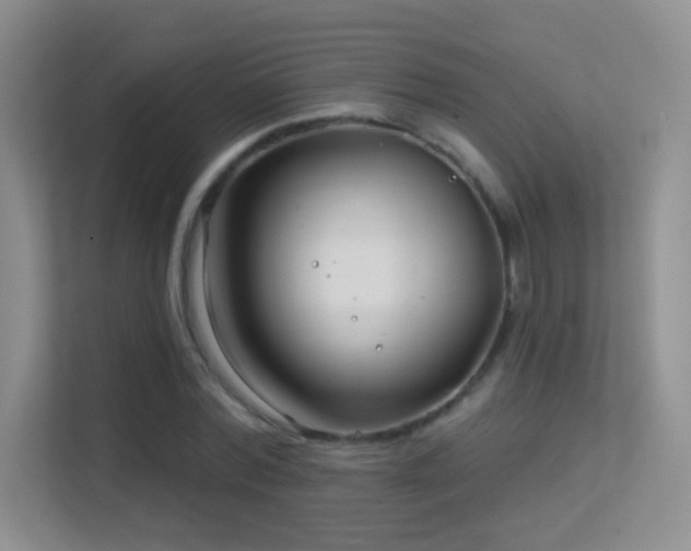 X0000113580780200909251154